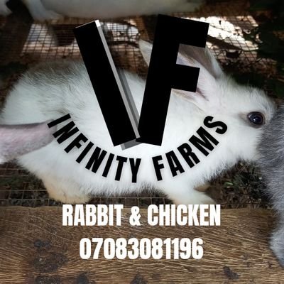 Olayide812's profile picture. Rabbit and Chicken
Smoked - Roasted - Live
at difference sizes
patronize us today and receive best offer from us.