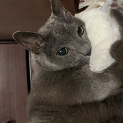 haohay's profile picture. 