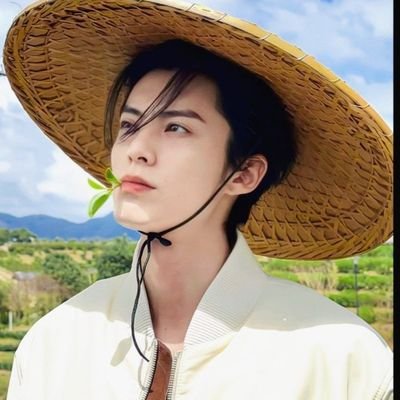 xdwhi's profile picture. about wang hedi and his dramas
