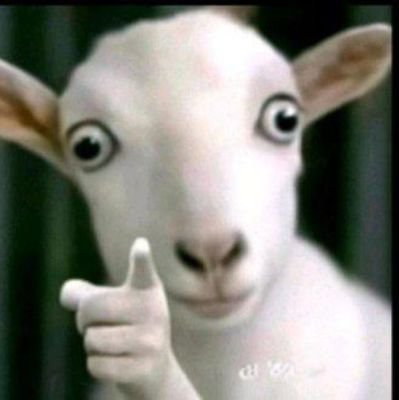 ainetreasure06's profile picture. 