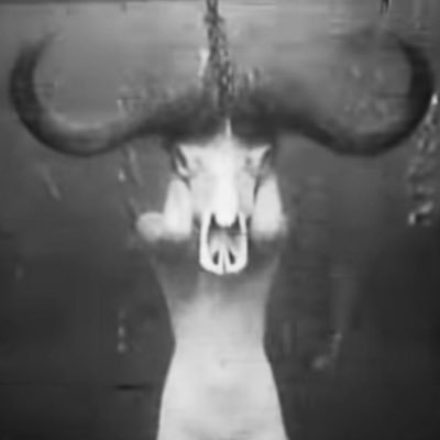 KIDTOSTERONE's profile picture. 💉18 // TINY BOY-GIRL THING // @N1GHTMARS’ LITTLE BROTHER // READ EXTENDED BIO // DM ME, PERV! ⛓️