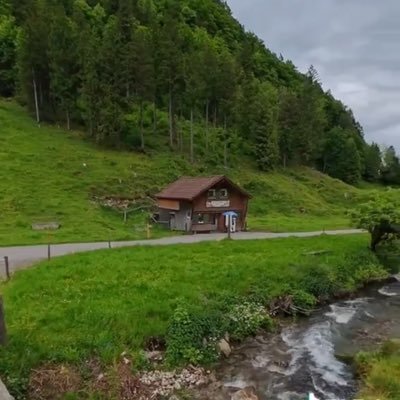 aboali5019's profile picture. BA in English Language and Translation, MA in Educational Leadership, and hope to obtain a PhD of life soon.