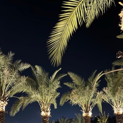 ffilu71's profile picture. كل الأمور على ما يرام في النهاية، إن لم تكن كذلك، فتلك ليست النهاية.🖤🥀