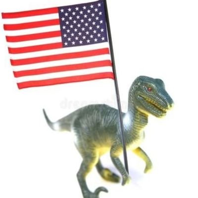 TinyDinoPaws's profile picture. 🇺🇲❤️🙏✝️🐸