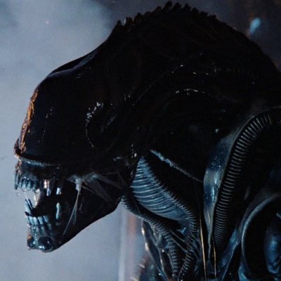 maximelelama's profile picture. not the brightest alien of the hive but i am trying my best. Making my own Hive in a junkyard.(Im also known as El Diablo)