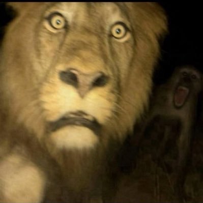 Alez370's profile picture. 