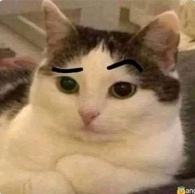 N1mba's profile picture. 