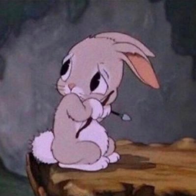 Shiraraxi's profile picture. 