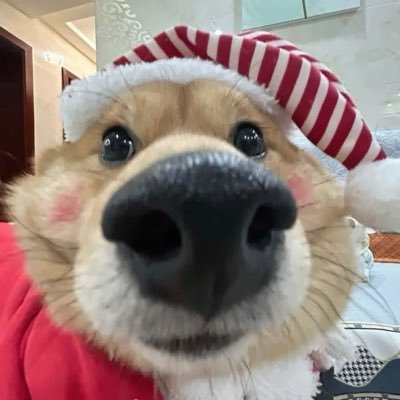 it0mak1maki3's profile picture. King Gnu 客 / Millennium parade / サカナクション 浅瀬 🙌🏿🙌🏿 #魚民絵文字部🌺👻好きなものを好きと言います