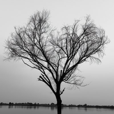 the_slosh's profile picture. 🍂