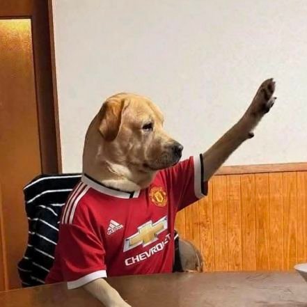 coretanery's profile picture. 