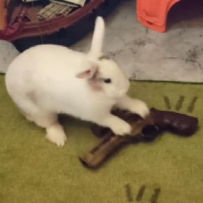 dendrozai's profile picture. i'm being perfectly fucking civil / look in the mirror & clown sightings can start today / not a place for constructive criticism i'm always right / 20↑ / any