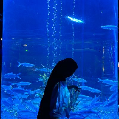 zabilamanda's profile picture. 