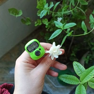 paiizy994's profile picture. پادشاه فصلها ؛ پاییز