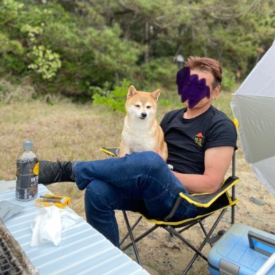 Yappari_papa's profile picture. 