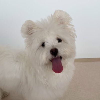 1202wjdals1111's profile picture. 