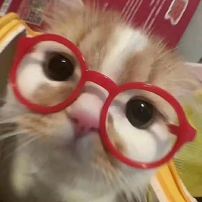 julyhazed's profile picture. fake idgafer