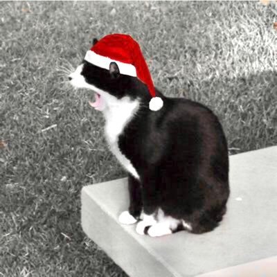 aghostisawish's profile picture. 