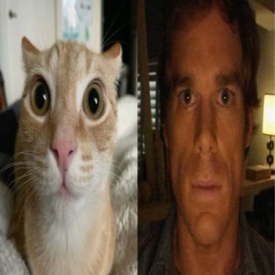 hallfaperson11's profile picture. أتفكر