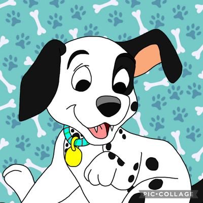 ChopperTheBiter's profile picture. Hiya! my name is Chopper, or Chomps! I'm the youngest puppy out of the 21 liter of my mom Daisy's. @Duke101Dalmati is my father. I love @BaileyPup_ so much 🩵🐾