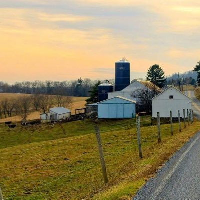 mare_pear's profile picture. Faith, Family, Friends. Aunt Pear to 7 amazing Pearlets. Breast Cancer warrior. God is Love. Love is Everything. Save the elephants🐘. Save the tata’s 🎀.