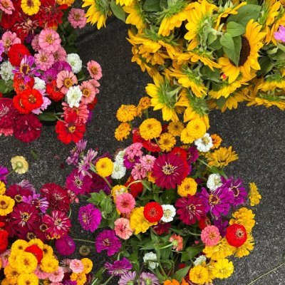 A9z1R6w2's profile picture. Living freely with elegance. Passionate about skiing, perfecting my golf swing, and exploring the world. Always chasing the next adventure🎿⛳✈️