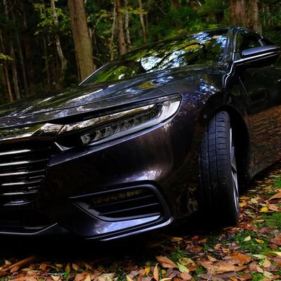 WASAMIK_OUCHEEE's profile picture. 新築マンション完成予想CGインサイト                                          あとドルフロとサバゲーと📷