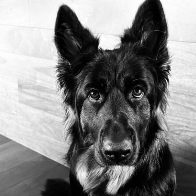 VPM119's profile picture. 