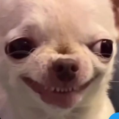 Chidubeee's profile picture. 