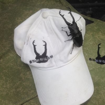 ushiyan's profile picture. 2025年2月末からザンビアでのプロジェクトに赴任しました^^
お家はタイです^^

 Youtubeチャンネル 【タイで昆虫採集 泰国鍬形倶楽部】 よろしくお願いします^^
Tシャツも作ってみました^^　→　http://ushiyanthai