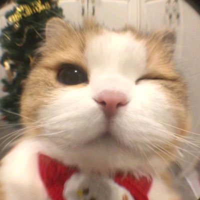 Chimonamin's profile picture. 