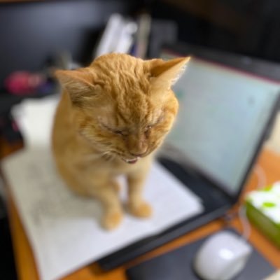 nTHT8r1qfg24569's profile picture. 👑🐃⛩️👻 旧アカウントにログインできず新しく作ったアカウント フォロー失礼します