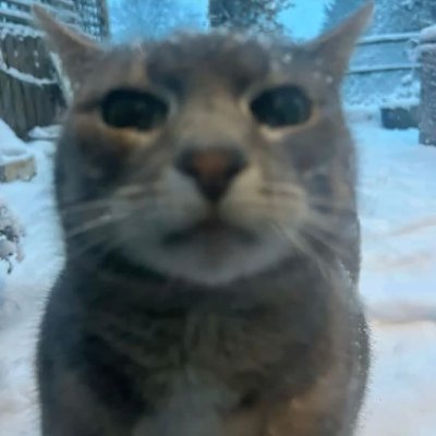 NationalLancer's profile picture. A developer for L&C.