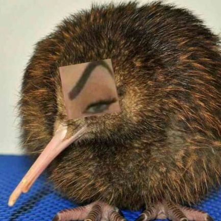 ErKiwi21's profile picture. 🥝✨Kiwi's Bizarre Adventures✨🥝

Videojuegos🕹️
Anime🎏
Ilustración/Diseño🖌️
Intentado modelar 3D ;u;👍