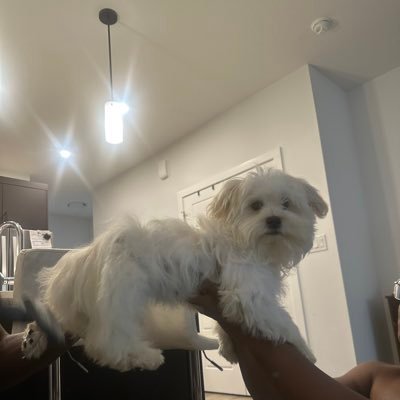 TheJessy2's profile picture. …