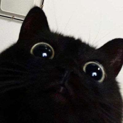 qpffkdmsgk's profile picture. 노크