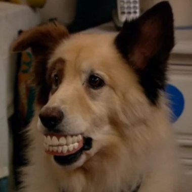 OOCDiscoms's profile picture. I'm a stranger on the internet, and you're watching Disney Channel! Run by @Spongey445

Submissions welcome