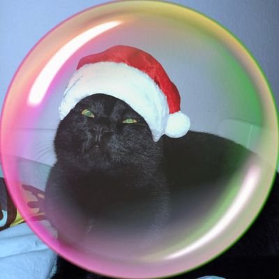 Franzi1389's profile picture. 🇩🇪// she/her // Taylor, Sabrina, Ariana, Florence, Stray Kids, Lana Del Rey #KPopDemonHunters // Fnaf & thg fan //bi //atheist //second acc: @Franzi4813 //ifb