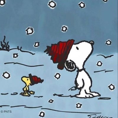 kade817388's profile picture. 🇨🇦 | priv @k817388 big vct fan