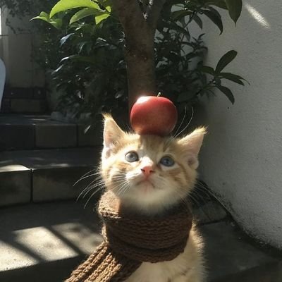 hyus728023's profile picture. 