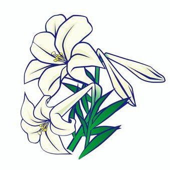 yasuyuki841's profile picture. 