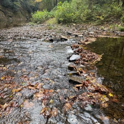 AnnieQ12's profile picture. Independent