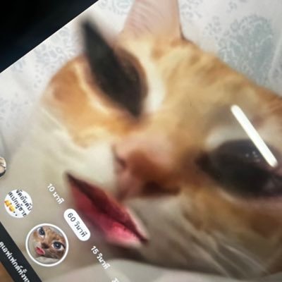 Naomimx_'s profile picture. ตอบเฉพาะคนมีหน้าคั้บบ