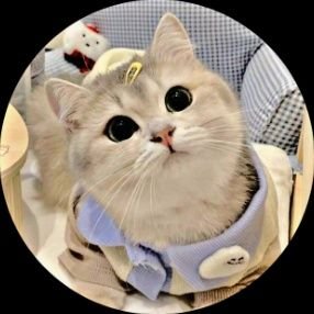 k_birru's profile picture. ✧⁠\⁠(🅦🅔🅛🅒🅞🅜🅔)⁠ﾉ⁠✧ 𝟐𝒏𝒅 𝒃𝒂𝒄𝒌𝒖𝒑 𝒂𝒄𝒄𝒐𝒖𝒏𝒕 𝒐𝒇 @karasn7. 𝑶𝒓𝒅𝒆𝒓 𝒋𝒖𝒔𝒕 𝒌𝒏𝒐𝒄𝒌 https://t.co/SDwRuczvW4 (⁠｡⁠☬⁠０⁠☬⁠｡⁠)