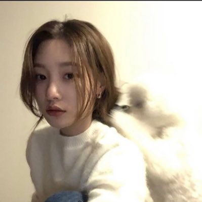 metzzakwai's profile picture. mechakwai