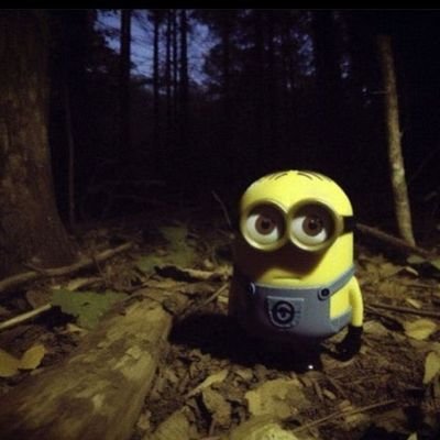 haruamexx's profile picture. 🏳️‍🌈 바이 | 젠더론사요 | 일상극복계 | 📷 = HL