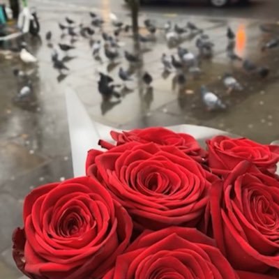 JamilahPhD's profile picture. تأسرني التفاصيل الجميلة وإن كانت بسيطة❤️🌧️☕️🎼💄🕋