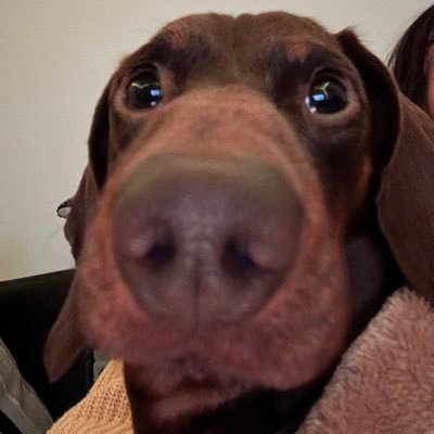 g0ldsteps_'s profile picture. fan of ccu (cars cinematic universe)