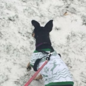 _deleted1233's profile picture. 