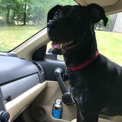 Crm1gumbo16367's profile picture. 